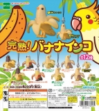 11月発売】再販 完熟バナナインコ 50個セット(200円カプセル【二次予約