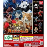 5月発売】KING OF ANIMALS(キングオブアニマルズ) 40個入り (300円