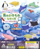 イワコーのおもしろ消しゴム〜海のいきものシリーズ〜 100個