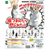 猫つまんだら、怒られた!! 50個セット (200円カプセル)｜ ガチャガチャ