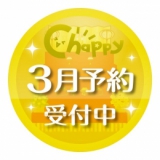 3月発売】崩壊3rd カプセルアクスタRICH 30個入り (400円カプセル)【二 