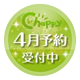 【4月発売】ポケモンキラキラペンダントPart2　40個入り (300円カプセル)【二次予約】
