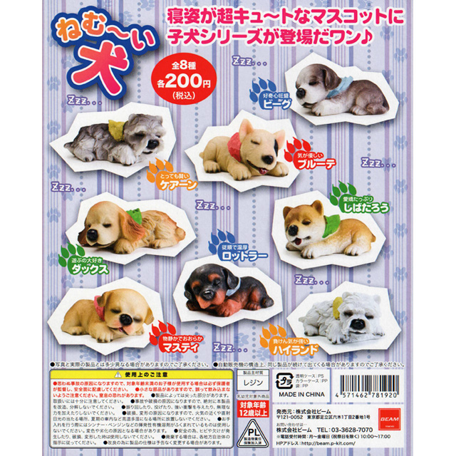 ねむ〜い犬 50個セット (200円カプセル)｜ ガチャガチャ・カプセルトイ