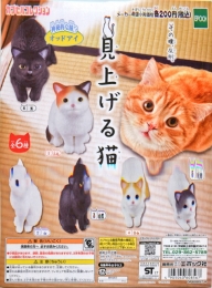 見上げる猫　50個入り (200円カプセル)