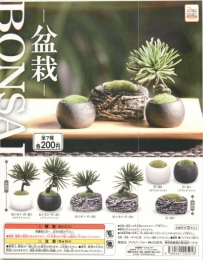【1月発売】コロコロコレクション BONSAI　-盆栽-　50個入り (200円カプセル)【二次予約】