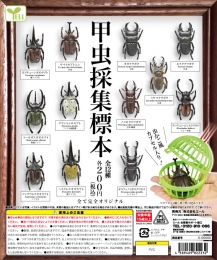 甲虫採集標本　50個入り (200円カプセル)