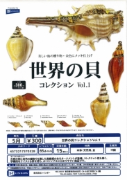 【5月発売】世界の貝コレクションVol.1　40個入り (300円カプセル)【一次予約】