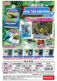 【5月発売】ミニチュア標本付き昆虫図鑑マスコット カブトムシ　アクアマリン　40個入り (300円カプセル)【二次予約】