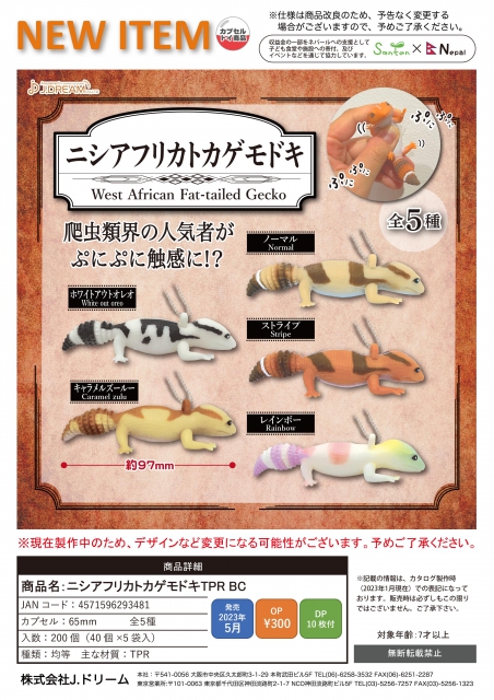 5月発売】ニシアフリカトカゲモドキTPR BC 40個入り (300円カプセル