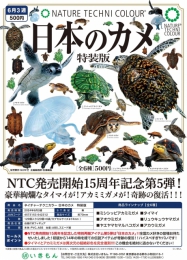 【6月発売】NTC 日本のカメ 特装版　20個入り (500円カプセル)【二次予約】