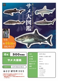 【6月発売】サメ大図鑑　50個入り (300円カプセル)【二次予約】