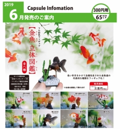 【6月発売】再販　金魚　立体図鑑:Re 40個入り (300円カプセル)