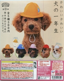かわいい　かわいい 犬の一年生 50個入り (300円カプセル)