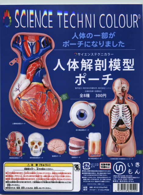 再販 人体解剖模型ポーチ 40個入り (300円カプセル)｜ ガチャガチャ