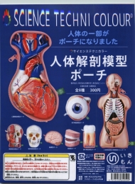 再販　人体解剖模型ポーチ　40個入り (300円カプセル)