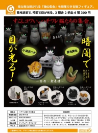 【7月発売】ハチワレ猫たちの集会　40個入り (300円カプセル)【一次予約】