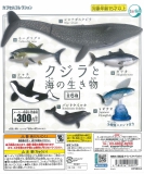 クジラと海の生き物　40個入り (300円カプセル)　※DPコピー