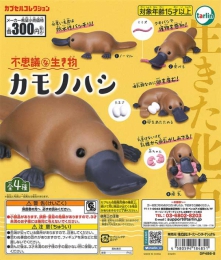 不思議な生き物カモノハシ　40個入り (300円カプセル)