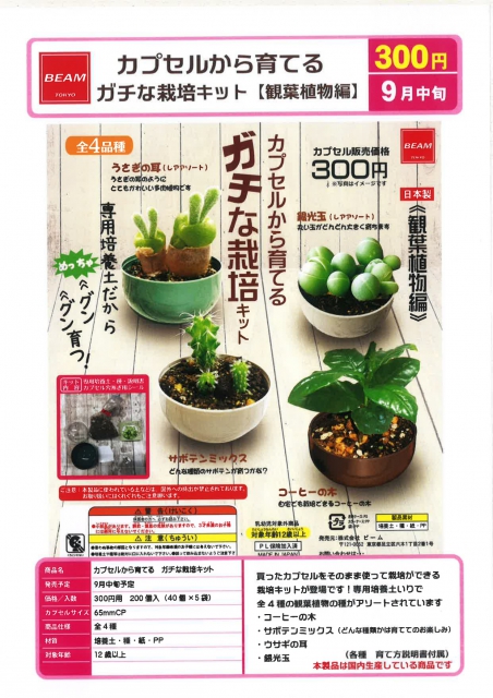 9月発売】カプセルから育てるガチな栽培キット 観葉植物編 40個入り (300円カプセル)【二次予約】｜ カプセルトイ・カプセルトイ マシン通販専門店|チャッピー(Chappy)