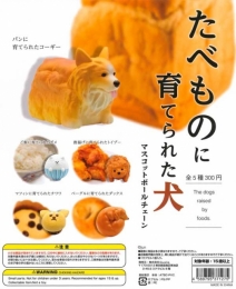 【6月発売】たべものに育てられた犬 40個入り (300円カプセル)