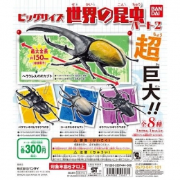 ビッグサイズ世界の昆虫　パート2　40個入り(300円カプセル)