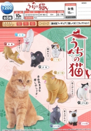 【10月発売】うちの猫　50個入り (200円カプセル)【二次予約】