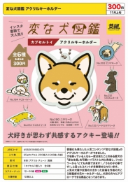 【11月発売】変な犬図鑑アクリルキーホルダー　40個入り (300円カプセル)【二次予約】