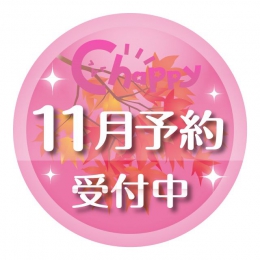 【11月発売】大好評第8弾サンリオはぴだんぶいぬいぐるみボールチェーン　30個入り (400円カプセル)【二次予約】