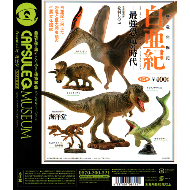 山盛り！20kg超 白亜紀の化石 化石発掘 夏休み アウトドア 理科/恐竜