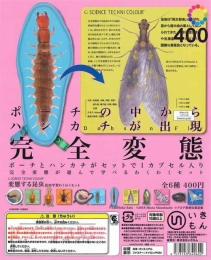 サイエンステクニカラー　変態する昆虫　昆虫学習わくわくセット 30個入り (400円カプセル)