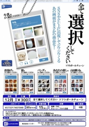 【12月発売】全て選択してくださいソフトボールチェーン　40個入り (300円カプセル)【二次予約】