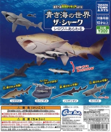 あそべる生物フィギュアシリーズ青き海の世界ザ・シャーク シロワニあらわる　40個入り (300円カプセル)