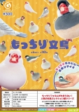 【12月発売】再販 もっちり文鳥 40個入り (300円カプセル)【一次予約】