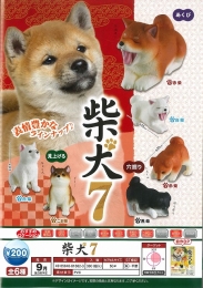 【9月発売】柴犬7　50個入り (200円カプセル)