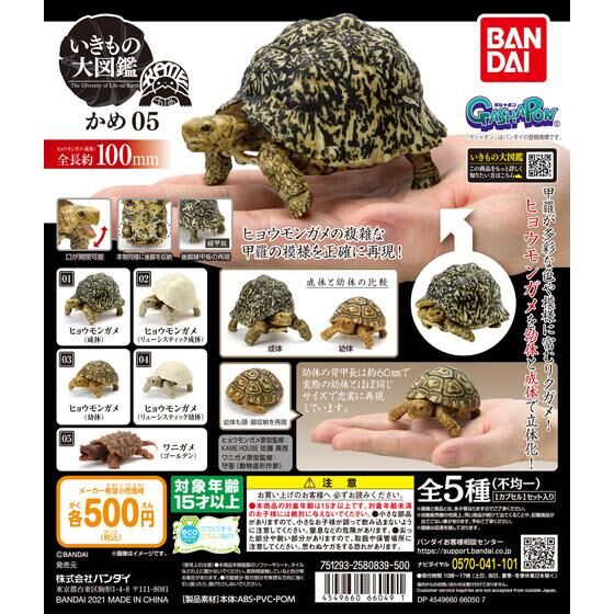 いきもの大図鑑かめ05 20個入り (500円カプセル)｜ ガチャガチャ