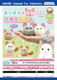 【2月発売】チンチラのララちゃんふわふわぽん　40個入り (300円カプセル)【二次予約】