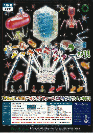 【1月発売】STCT4ファージレインボーバールマスコット&ポールチェーン　30個入り (400円カプセル)【二次予約】