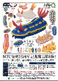 【1月発売】NTCMONO+ウミウシフィギュアマグネット　30個入り (400円カプセル)【二次予約】