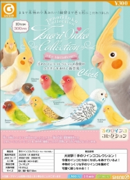 【1月発売】手のりインココレクション〜キュートなくちばし〜 40個入り (300円カプセル)【二次予約】