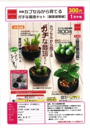 【1月発売】再販 カプセルから育てるガチな栽培キット 観葉植物編　40個入り (300円カプセル)【二次予約】