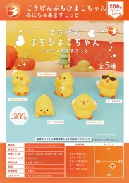 【1月発売】ごきげんぷちひよこちゃんみにちゅあますこっと　50個入り (200円カプセル)【一次予約】