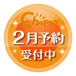 【2月発売】めーちっさい威厳のあるチンチラさん　40個入り (300円カプセル)【二次予約】