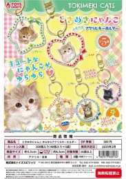 【2月発売】ときめきにゃんこ ゆらゆらアクリルキーホルダー 40個入り (300円カプセル)【一次予約】