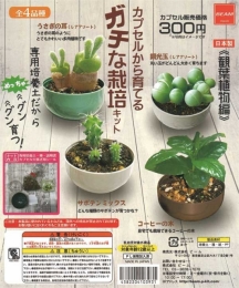 カプセルから育てるガチな栽培キット 観葉植物編　40個入り (300円カプセル)