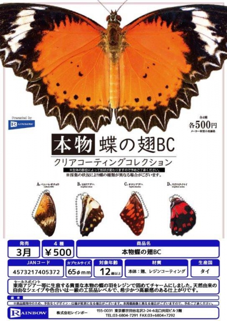 3月発売】本物蝶の翅BC 30個入り (500円カプセル)【二次予約】｜ カプセルトイ・カプセルトイマシン通販専門店|チャッピー(Chappy)