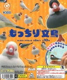 再販 もっちり文鳥 40個入り (300円カプセル)