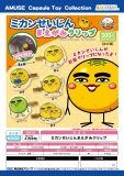 【1月発売】再販　ミカンせいじんまえがみクリップ　40個入り (300円カプセル)【二次予約】