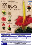 【4月発売】世界の奇妙な植物たち　20個入り (500円カプセル)【一次予約】